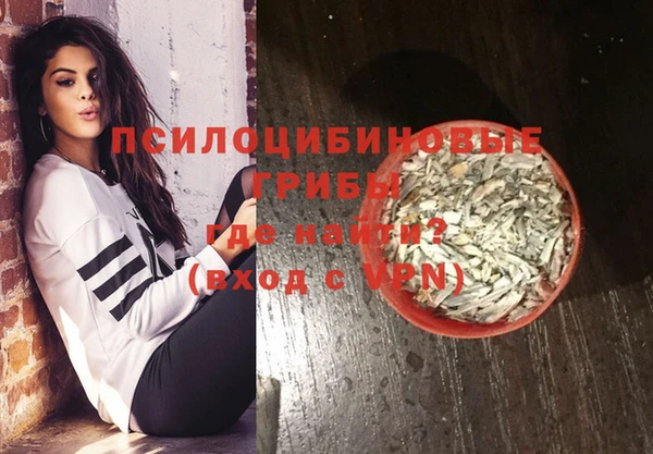 первитин Ладушкин