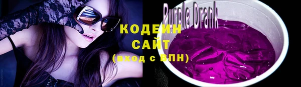 крисы Лагань