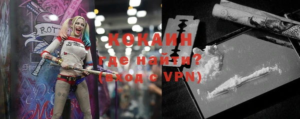 крисы Лагань